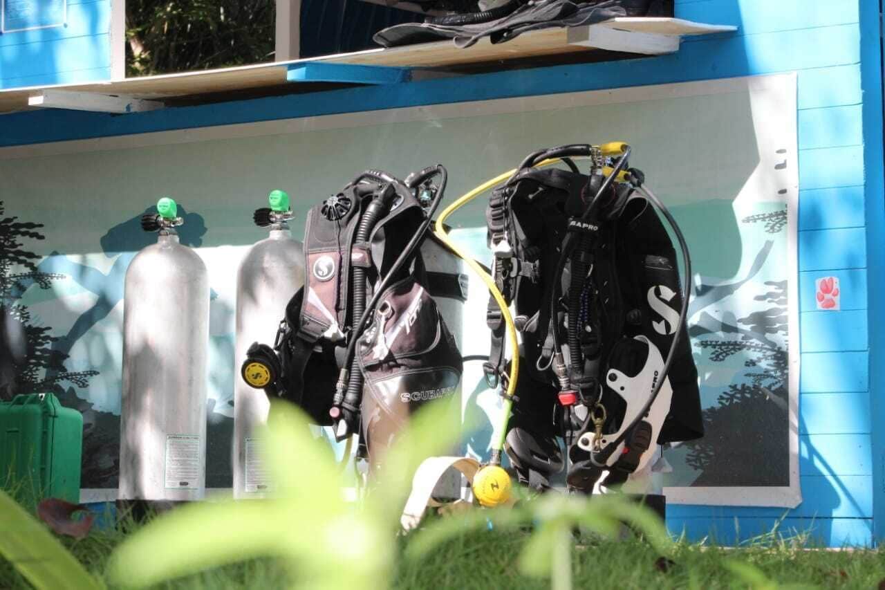 Photo - Eco Hotel Las Palmeras