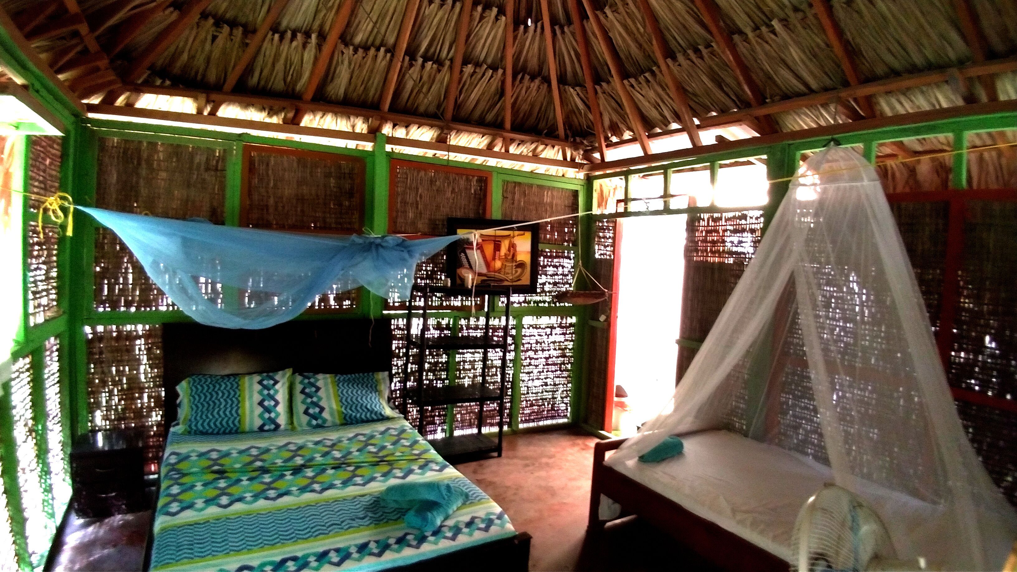 Photo - Eco Hotel Las Palmeras