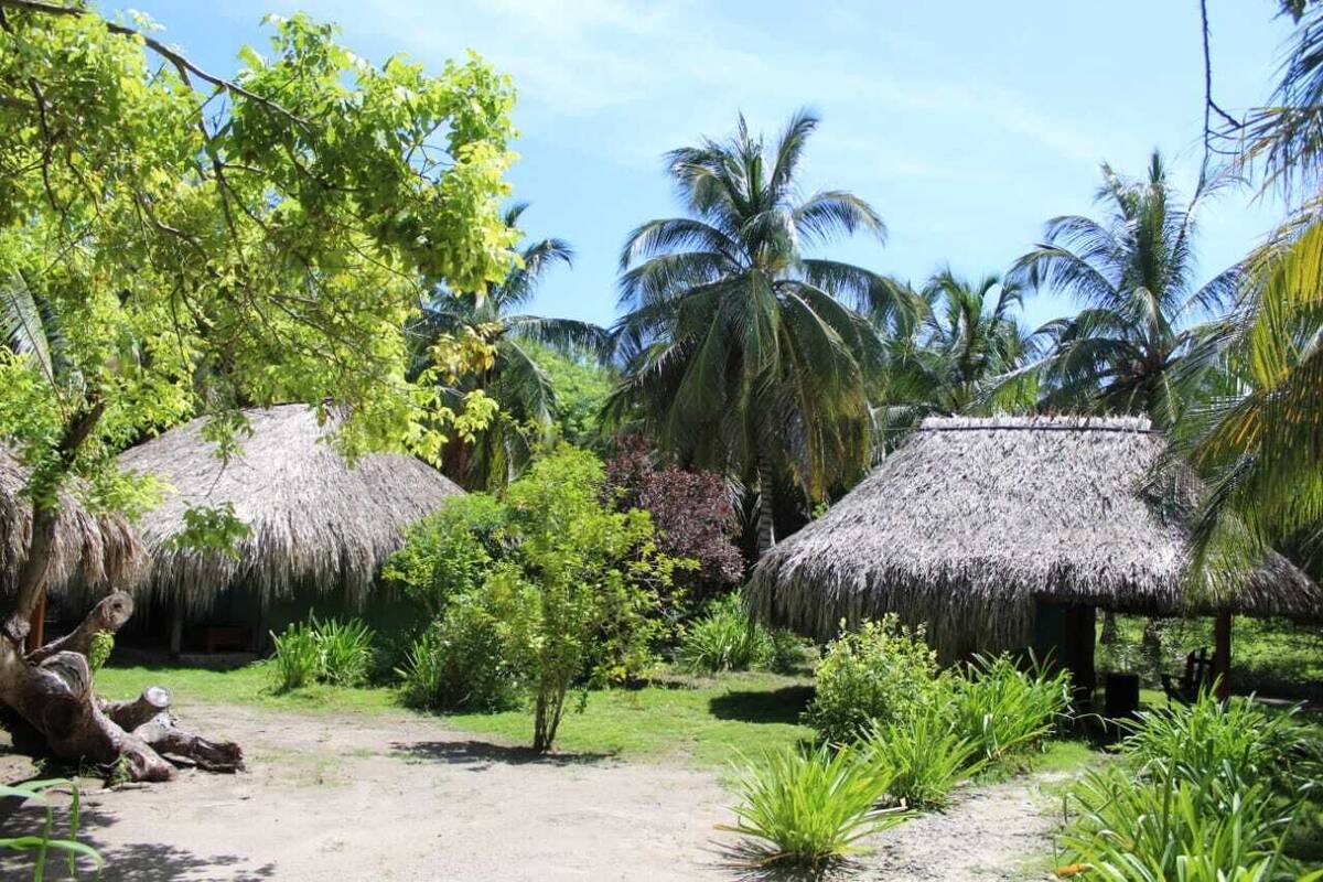 A tropical garden with thatched-roof huts, palm trees, and lush greenery.