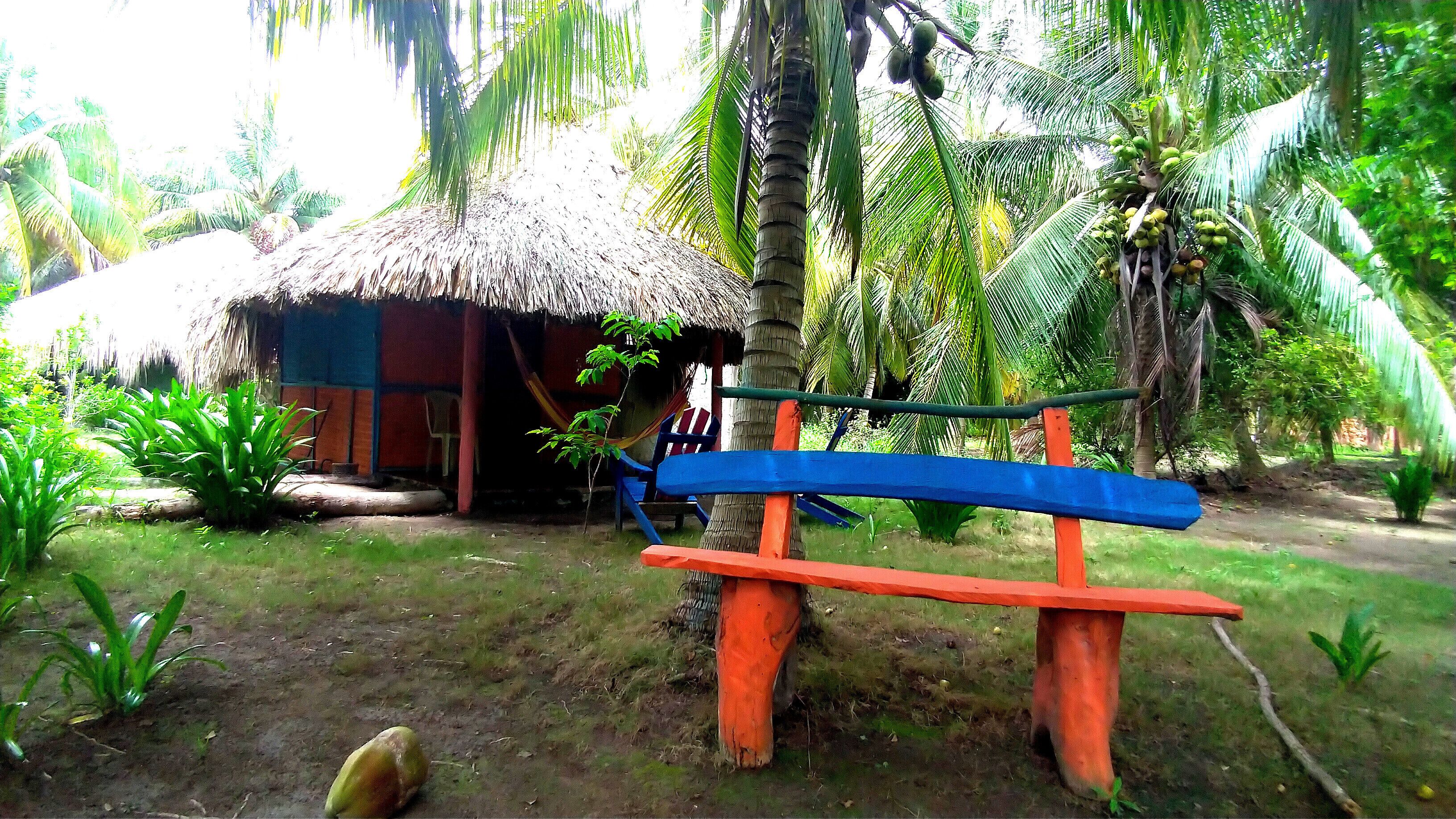 Photo - Eco Hotel Las Palmeras