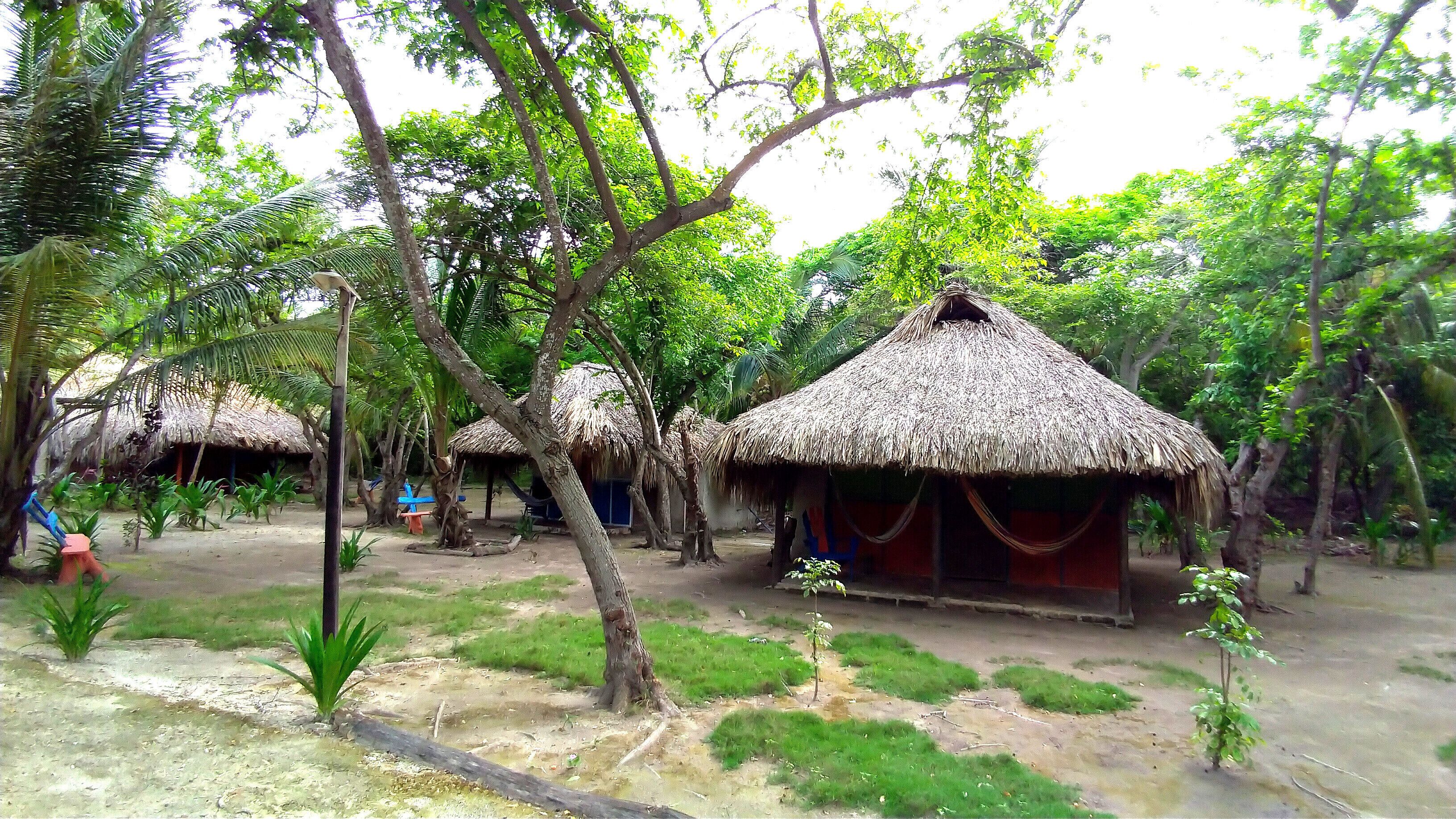 Photo - Eco Hotel Las Palmeras