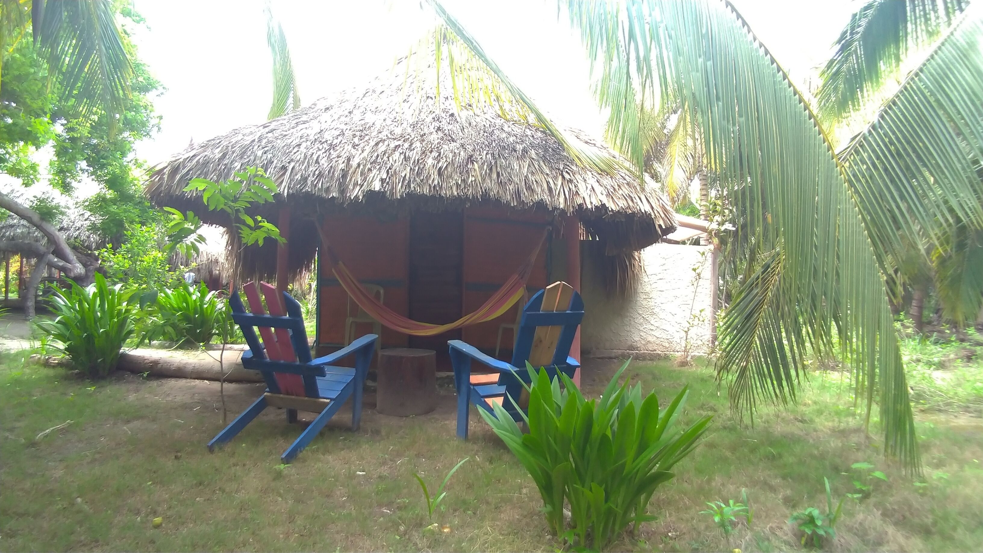 Photo - Eco Hotel Las Palmeras