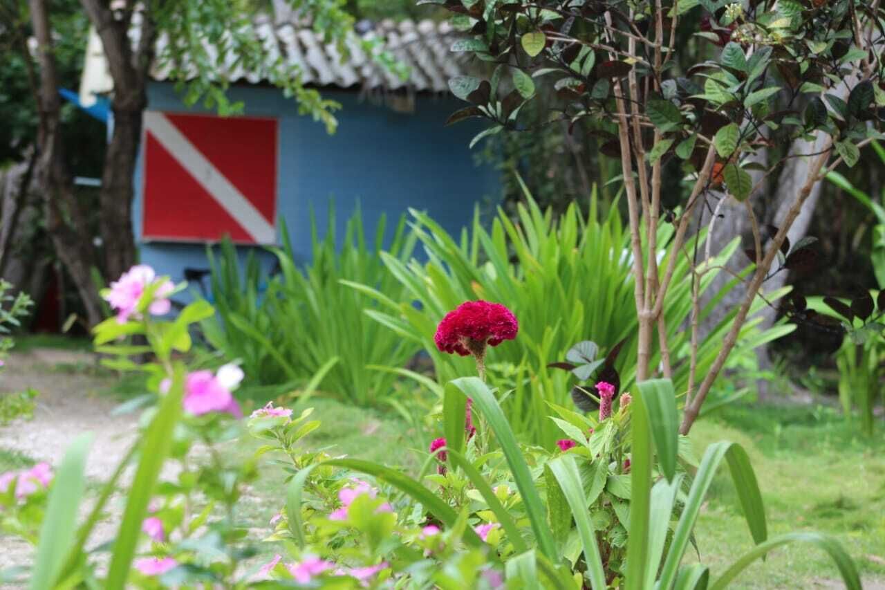 Photo - Eco Hotel Las Palmeras