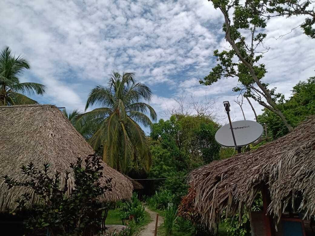 Photo - Eco Hotel Las Palmeras