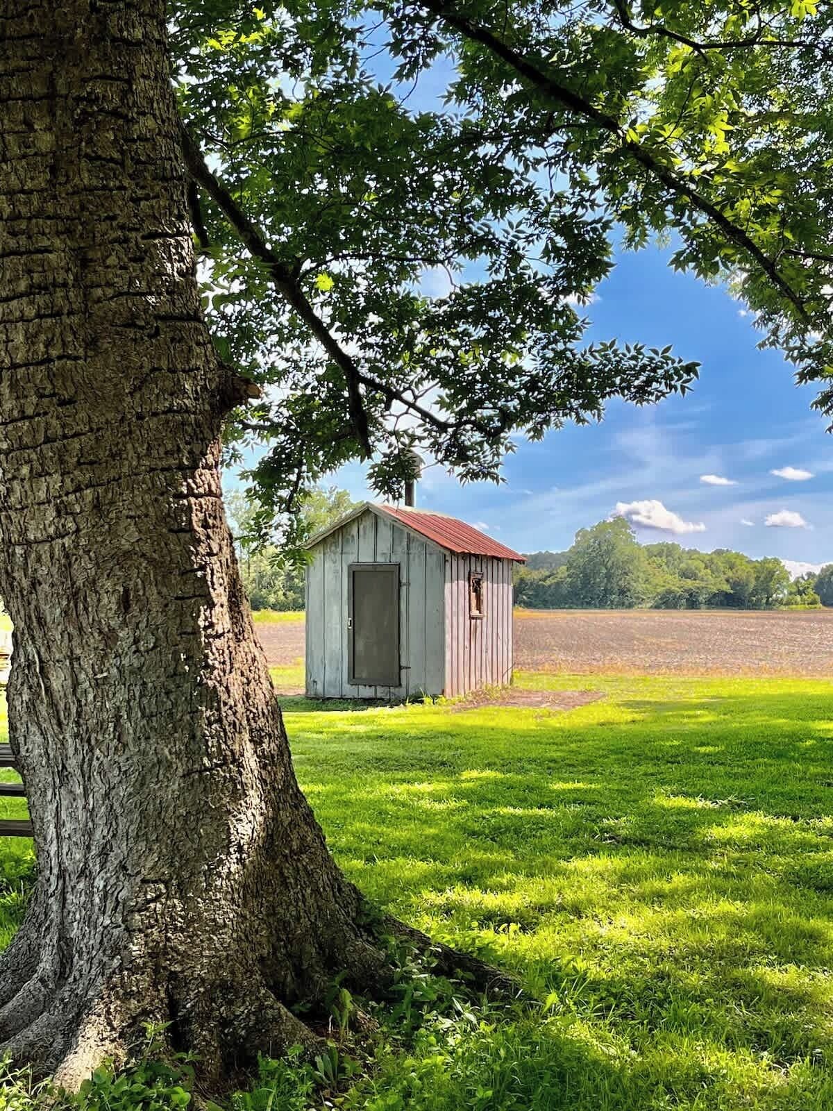 Área da propriedade