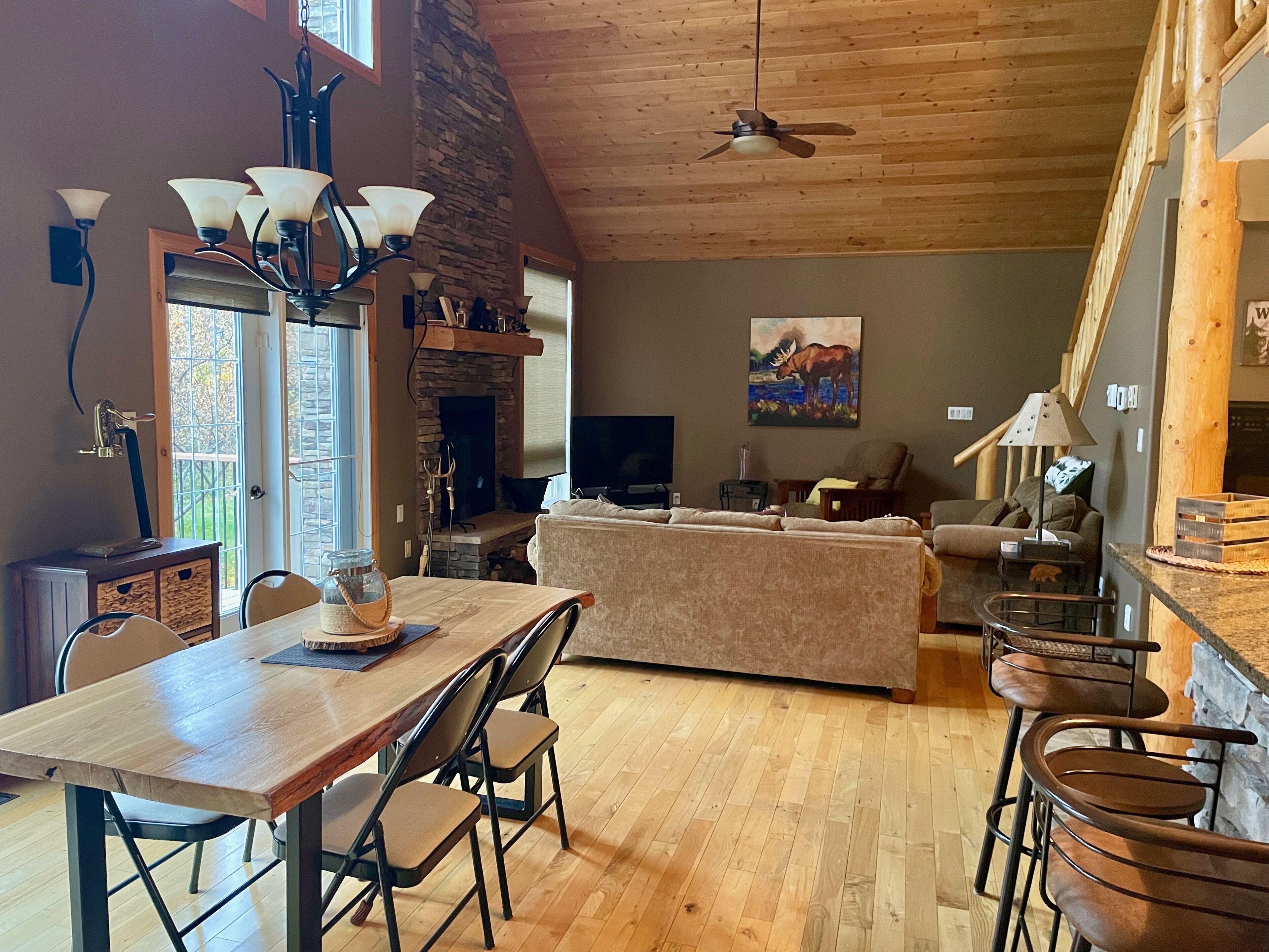 Smart TV, chimenea y reproductor de DVD 