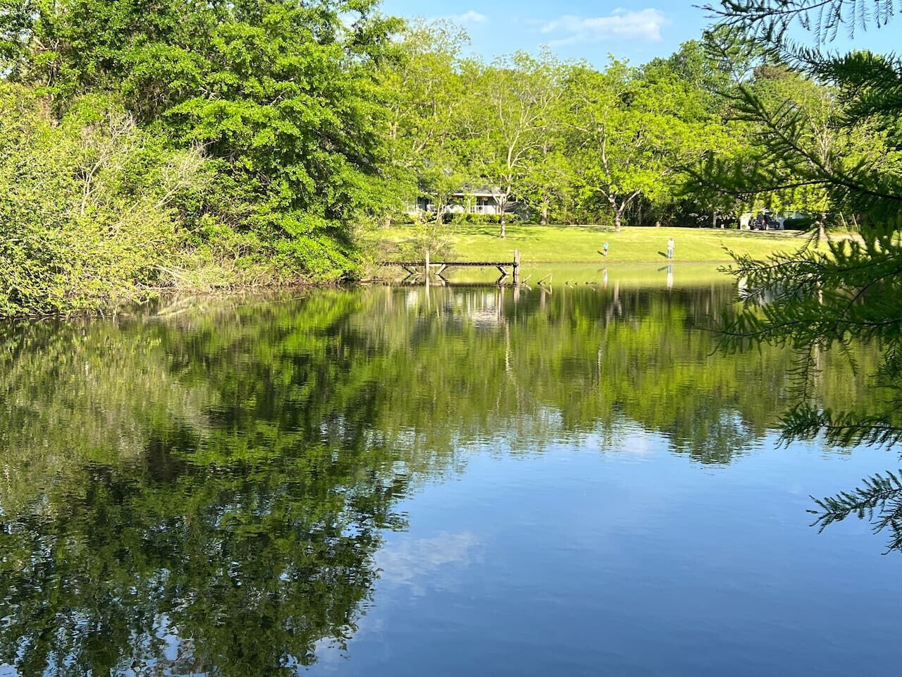 A tranquil pond with a wooden bridge, surrounded by lush greenery and a distant house.