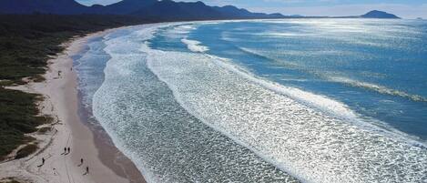 Playa privada, arena blanca, traslado desde/hacia la playa gratis