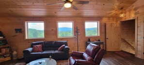 Smart TV, fireplace, books