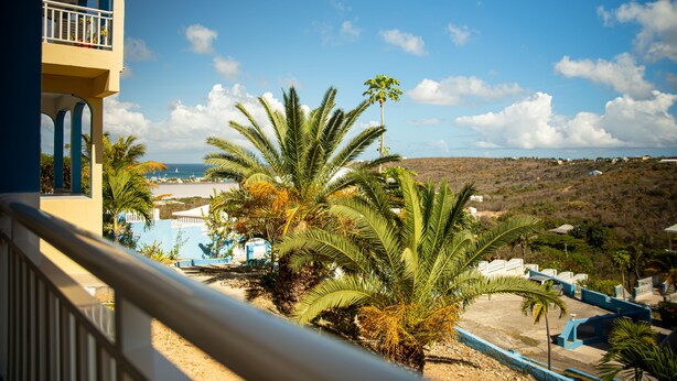 A balcony with a view of palm trees and a beach.