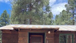 A small wooden cabin with a door and a window, surrounded by trees.