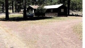 A rustic cabin with a dirt ground, surrounded by tall pine trees.