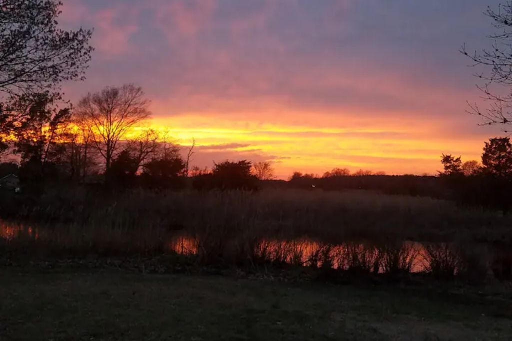 Solnedgang over et naturområde med træer og et vandareal.