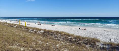 Sun loungers, beach towels