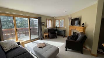 TV connectée, cheminée, livres