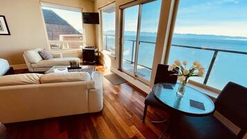 Smart TV, chimenea y reproductor de DVD