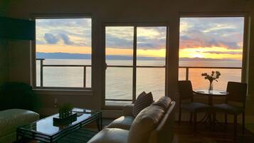 Smart TV, chimenea y reproductor de DVD