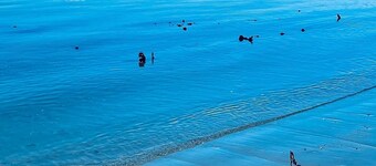 Points West Oceanfront Rooftop suite