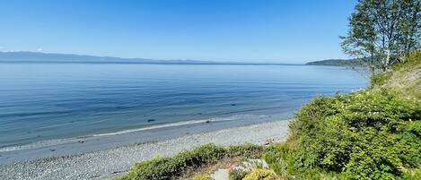 A coastal landscape with a pebble beach, lush greenery, and a clear view of the sea.