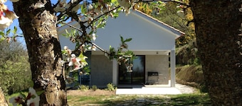 Quinta das Storks - Ferienwohnung