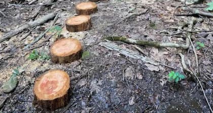 Glamping tent & Campsite by Minnewaska State Park