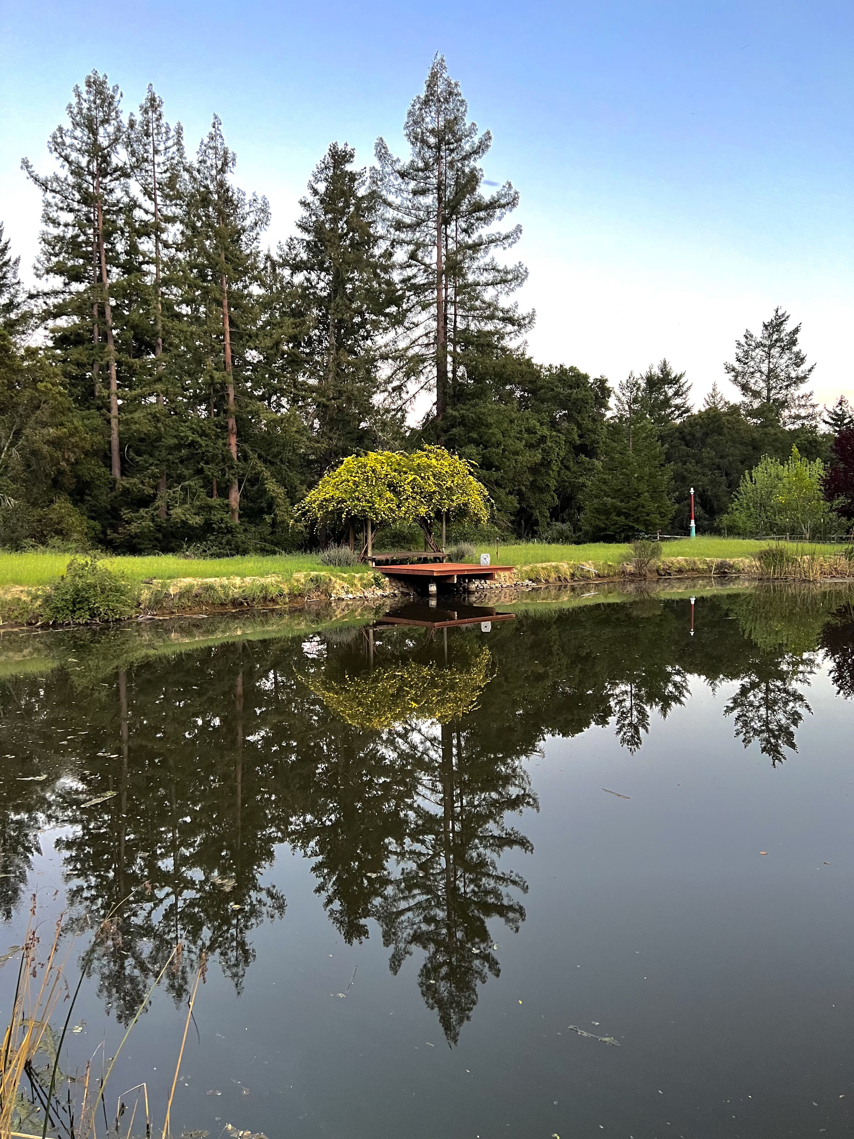 Romantic Getaway at the Redwood Retreat