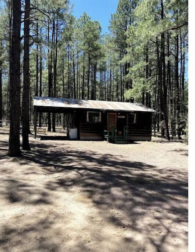 Rustic Charm Cabin in the tall pines, Alpine AZ #4