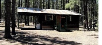 Rustic Charm Cabin in the tall pines, Alpine AZ #4