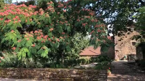 A stone wall, a pathway, and a building with a red roof. - La Salesse, Restored farmhouse in idyllic rural location + private pool (Ginals)