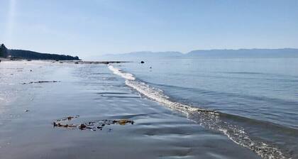 Points West Oceanfront Resort 1 Bed Ocean Point Suite A