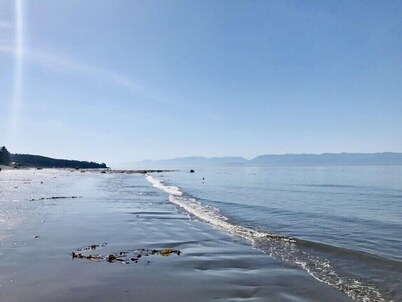 Points West Oceanfront Resort 1 Bed Ocean Point Suite A