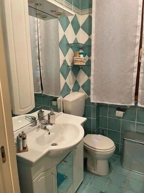 Bathtub, hair dryer, towels, soap