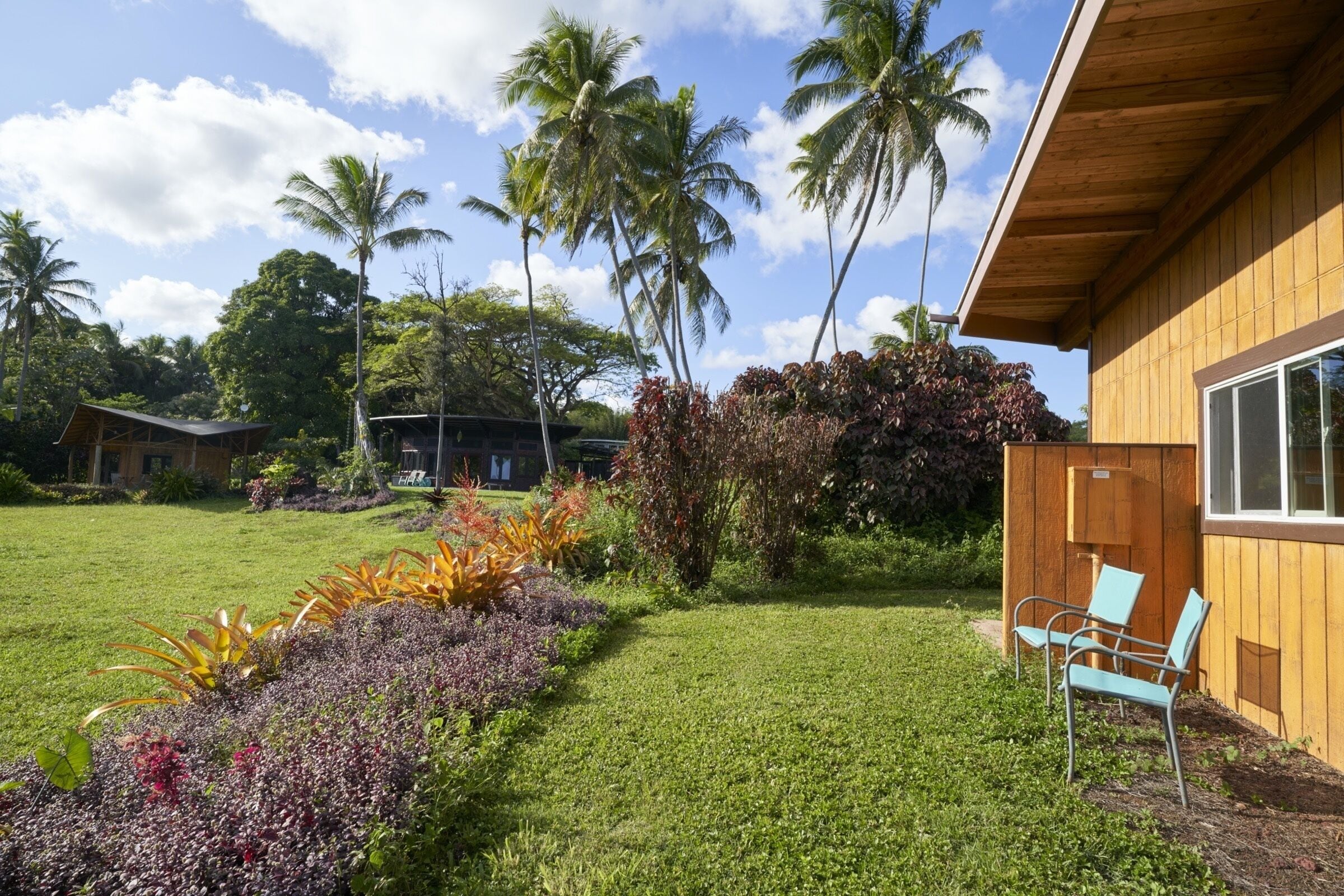 A wooden building with a garden featuring tropical plants and a lawn.