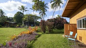 A wooden building with a garden featuring tropical plants and a lawn.