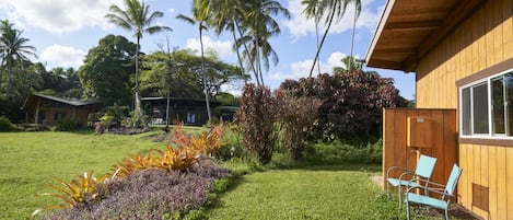 A wooden building with a garden featuring tropical plants and a lawn.