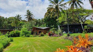 A tropical resort with a grassy lawn, palm trees, and a wooden cabin. - Kalani Oceanside Retreat (Pahoa)
