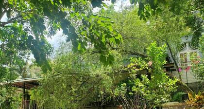 romantic hide away 20 mins from beach