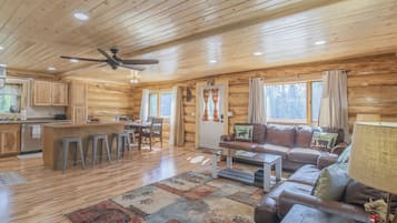 TV connectée, cheminée, lecteur de DVD, livres