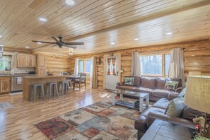 TV connectée, cheminée, lecteur de DVD, livres