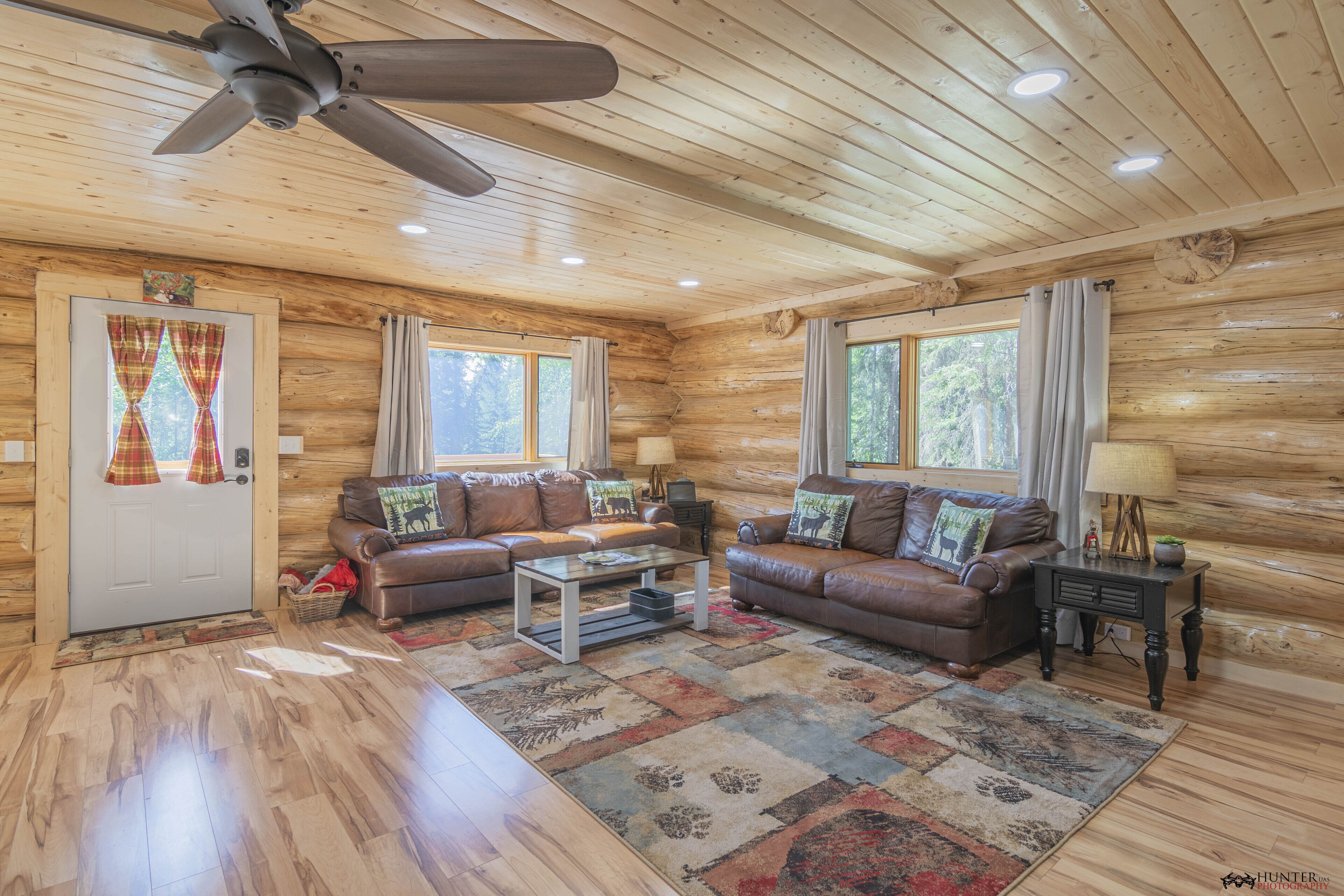 TV connectée, cheminée, lecteur de DVD, livres