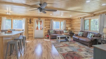 Smart TV, chimenea, reproductor de DVD, libros