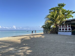 Unclassified image, 3 of 49, button