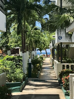A pathway lined with palm trees and potted plants, leading to a beach. - Lovely Studio With Pool On Beach (Negril)