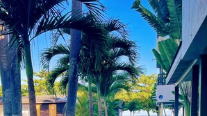A pathway flanked by lush greenery and palm trees leading to a building with a wooden door. - Beautiful Studio with Pool on Negril Beach (Negril)