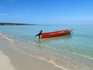 Plage, chaises longues