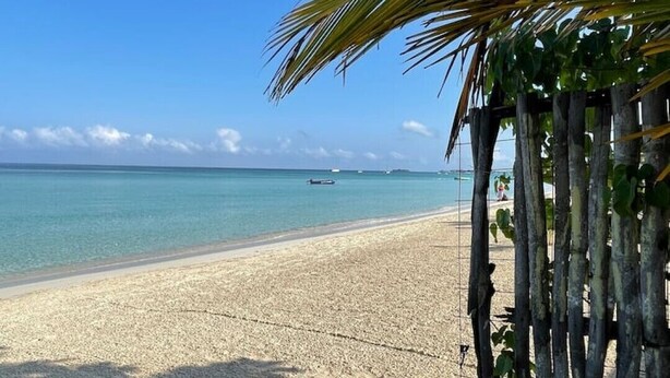 A beach with clear turquoise water, a sandy shore, and a wooden structure with palm fronds. - Beautiful Studio with Pool on Negril Beach (Negril)