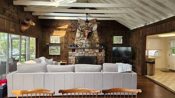 Smart TV, fireplace, books