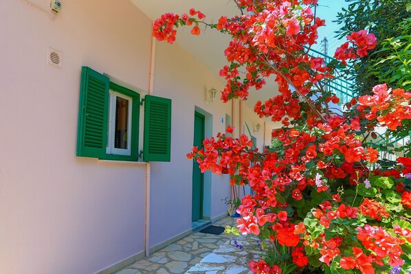 A narrow alleyway with a building featuring green shutters and a stone-paved path.
