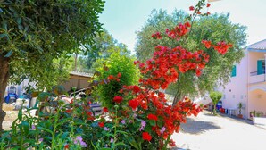 Ein Innenhof mit vielfältigen Pflanzen und Blumen, darunter rote und rosa Blüten, und einem gepflasterten Weg.