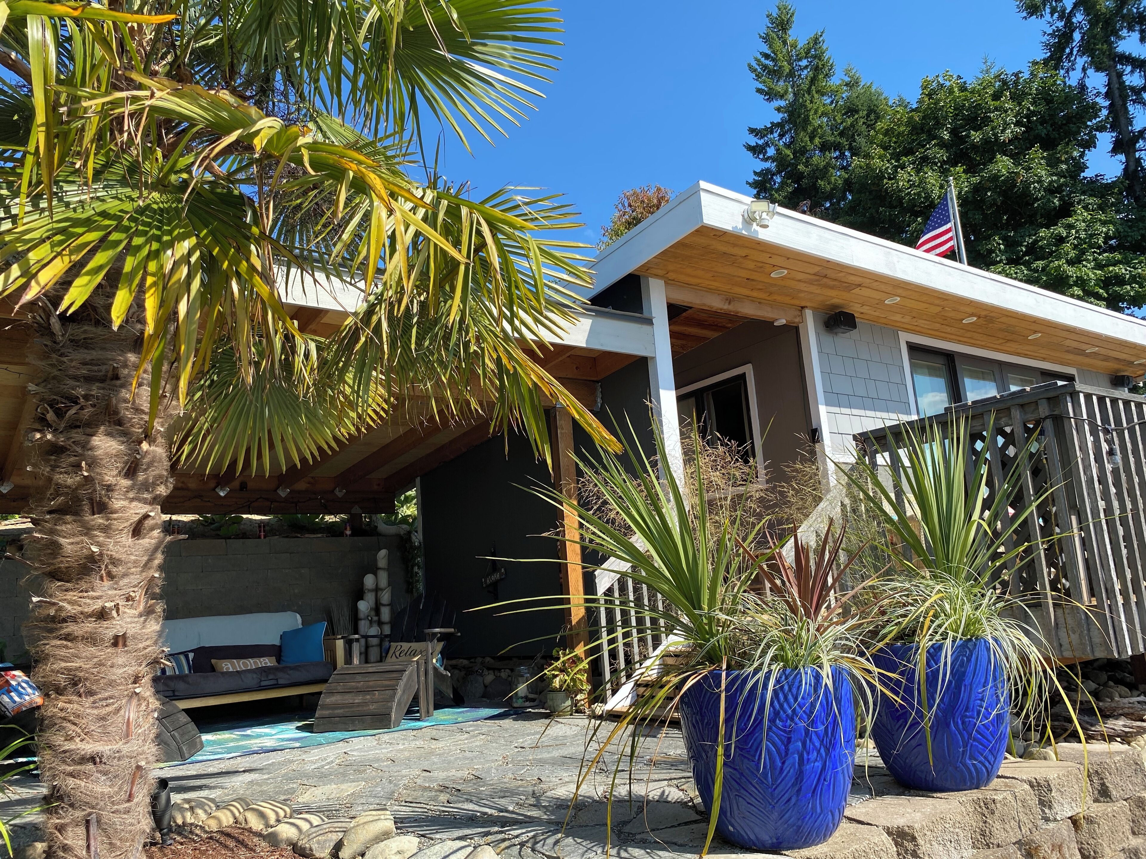 Uma casa moderna com um deck de madeira, piscina e duas grandes plantas em vasos.